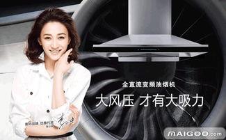 明星网红同款代言品牌,揭秘爆款代言品牌背后的魅力