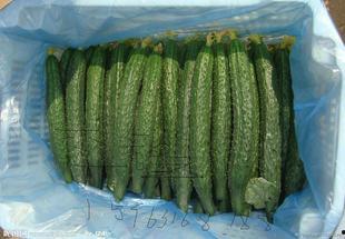 今日兰瓜价格行情最新,今日行情一览解析”