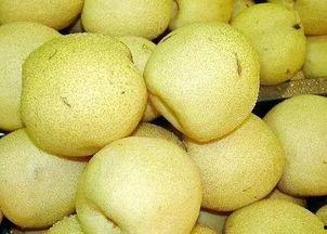 今日蜜本瓜价,甜蜜价格波动，瓜农收益几何？”