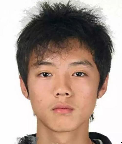 明星网红小狮子图片,萌态可掬引粉丝狂热追捧