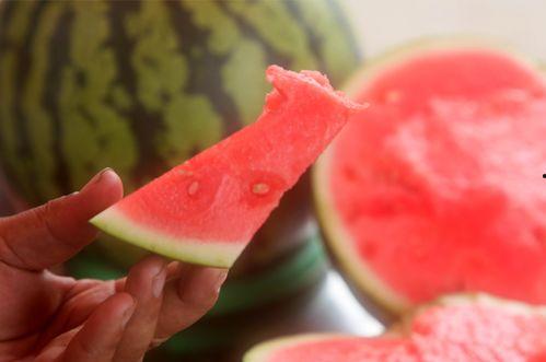 今日圆瓜价格行情,价格波动解析与市场趋势洞察