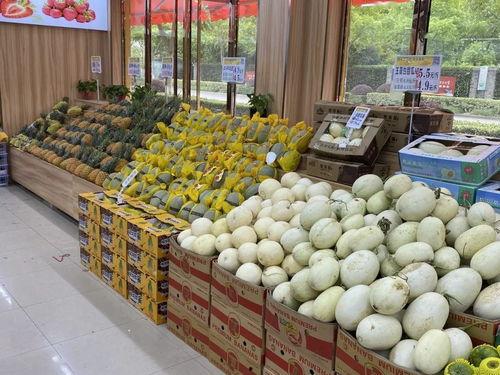 广州白瓜今日零售价