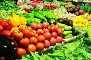 广州白瓜今日零售价