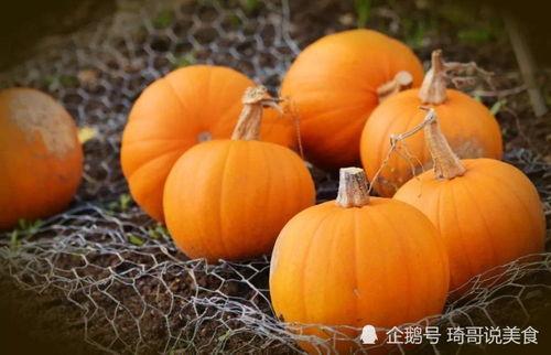 今日云南秋瓜行情怎么样,丰收喜人，价格稳定