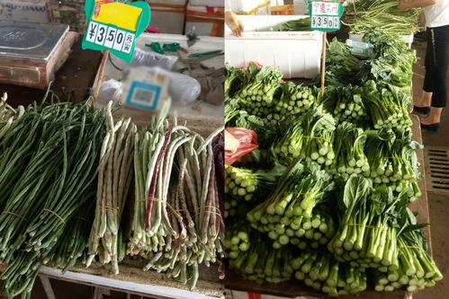 今日南宁瓜菜批发贵吗,南宁瓜菜批发价格行情分析