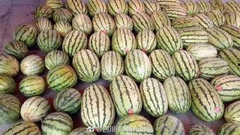 四川今日吃瓜新闻,火锅底料风波引热议，网红餐厅涉嫌违规操作