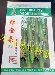 旱瓜今日价格行情,今日行情一览