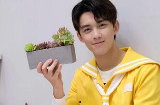 明星网红小馄饨是谁,明星背后的故事