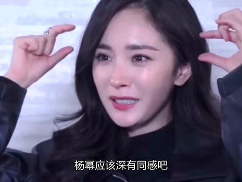 明星网红小馄饨是谁,明星背后的故事