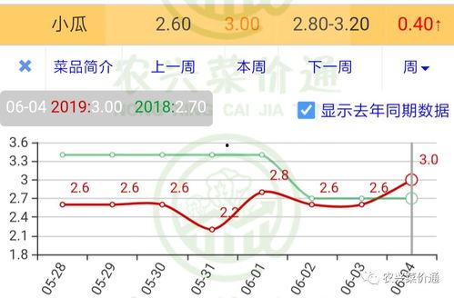 小瓜今日行情走势分析,今日走势深度解析