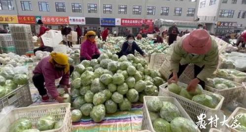 阜阳瑶海哈密瓜批发市场今日行情,今日行情火爆，价格稳中有升”