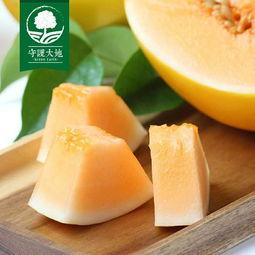 高碑店蜜瓜今日价格表,价格行情一览