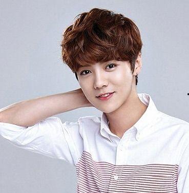 老男人明星网红有哪些,老男人明星网红的风采与魅力