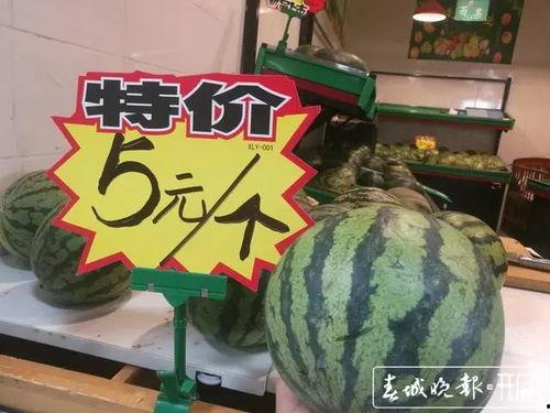 昆明小瓜价格今日价,市场行情实时解析