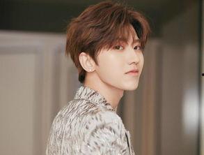 鬼畜明星网红图高清壁纸,高清壁纸中的鬼畜明星风采