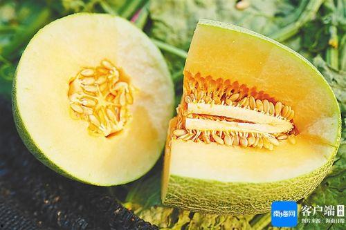 海南蜜瓜今日价格表图片,海南蜜瓜今日价格行情一览