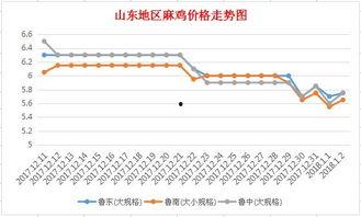 山东今日茭瓜价格行情走势,今日行情解析与趋势展望