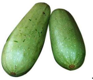 梢瓜批发价格今日行情,波动分析及市场趋势解读”