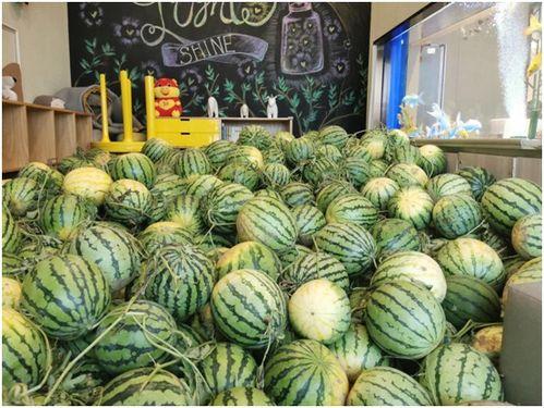 莱州今日吃瓜爆料视频,视频揭秘惊人内幕