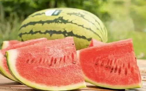 汉瓜今日价格最新行情,最新行情解析与市场趋势洞察”