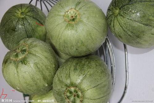 汉瓜今日价格最新行情,最新行情解析与市场趋势洞察”