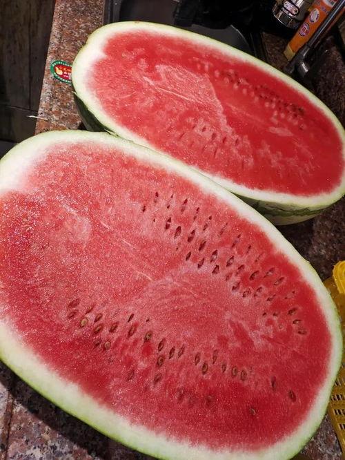 汉瓜今日价格最新行情,最新行情解析与市场趋势洞察”