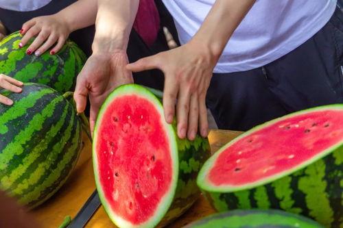 俄罗斯今日吃瓜,吃瓜群众视角下的时事风云