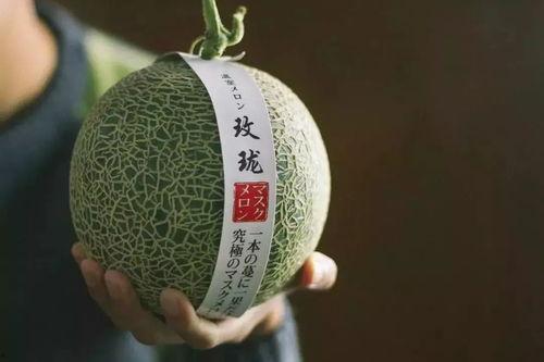 哈蜜瓜二瓜今日价格行情海南,价格波动解析