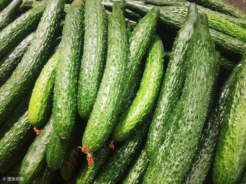 昆明今日西葫芦瓜批发价,实惠之选，品质保证