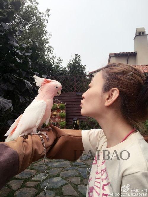 今日吃瓜总结李小冉,瓜田里的璀璨明星