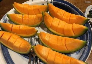 蜜瓜26号今日价格,价格行情一览”