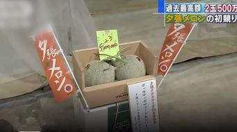 蜜瓜26号今日价格,价格行情一览”