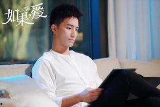 如果爱电视剧,探寻爱情与命运的交织之旅