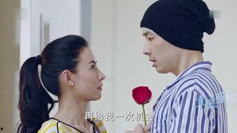 如果爱电视剧,探寻爱情与命运的交织之旅