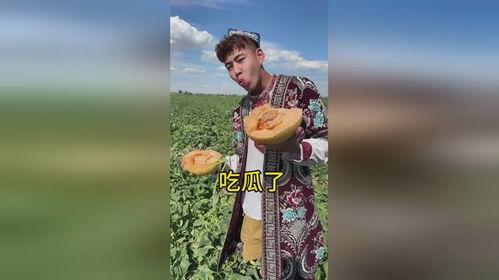 今日超好吃的哈密瓜,揭秘今日超美味哈密瓜的秘密