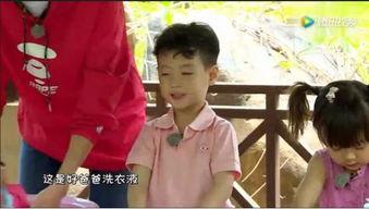 明星网红洗衣液有哪些,盘点热门洗衣液品牌