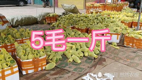 今日南宁瓜价格,新鲜瓜果抢购热潮来袭”