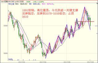 蔬菜蒲瓜今日行情分析图