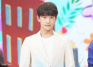 明星网红杨洋图片高清,光影交织下的魅力偶像