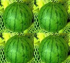 凤瓜今日价格,市场行情一览”