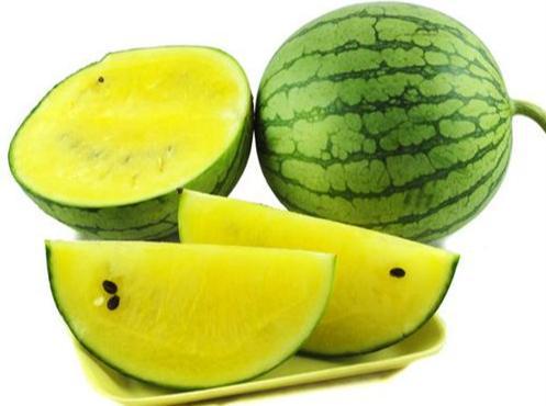 凤瓜今日价格,市场行情一览”