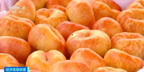 凤瓜今日价格,市场行情一览”