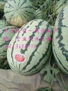 硒砂瓜今日价格,市场行情一览”