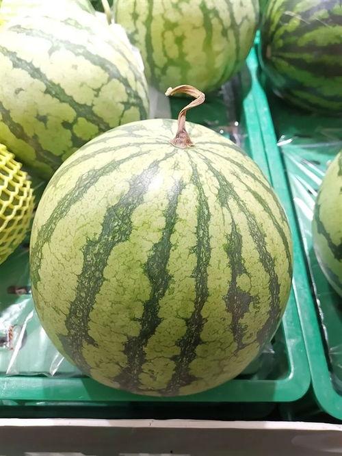 吃瓜网今日大瓜,揭秘娱乐圈最新热点事件