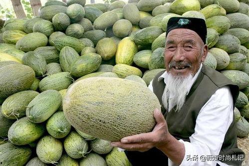 今日吐鲁番二堡哈密瓜,甜蜜诱惑，瓜香四溢的西域珍果