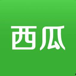 新月大瓜今日头条,新月大瓜今日头条，热点事件深度解析