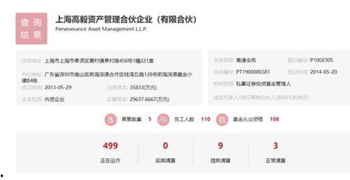 新月大瓜今日头条,新月大瓜今日头条，热点事件深度解析