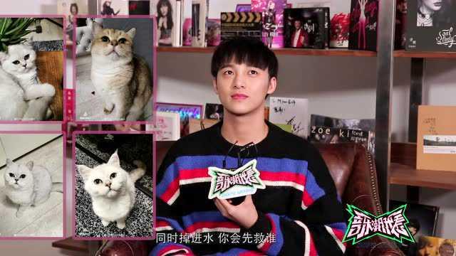 明星网红家纺直播视频,明星家纺产品热销背后的秘密