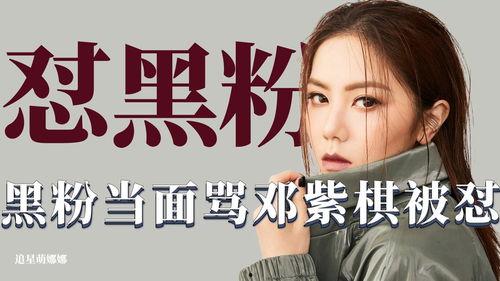 明星网红黑粉名场面,黑粉的犀利反击，笑料百出！