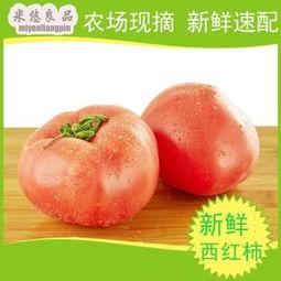 小瓜今日蔬菜报价表,新鲜蔬菜价格一览，尽在小瓜今日报价”